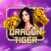 ড্রাগন টাইগার লাক - bd2222 স্লট গেম